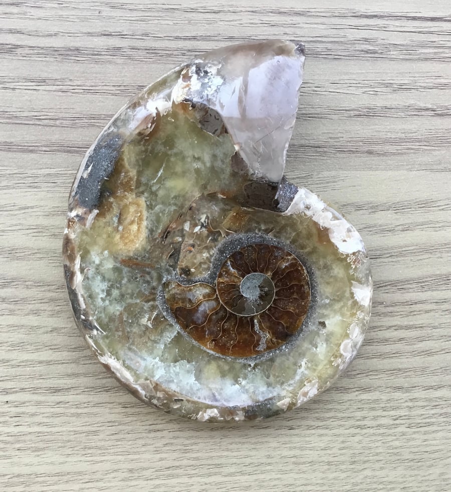 Superb Half Ammonite Trinket Dish, Home Decor or Photography Prop.