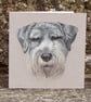Greetings Card - Blank - Schnauzer Dog Portrait - Image 2