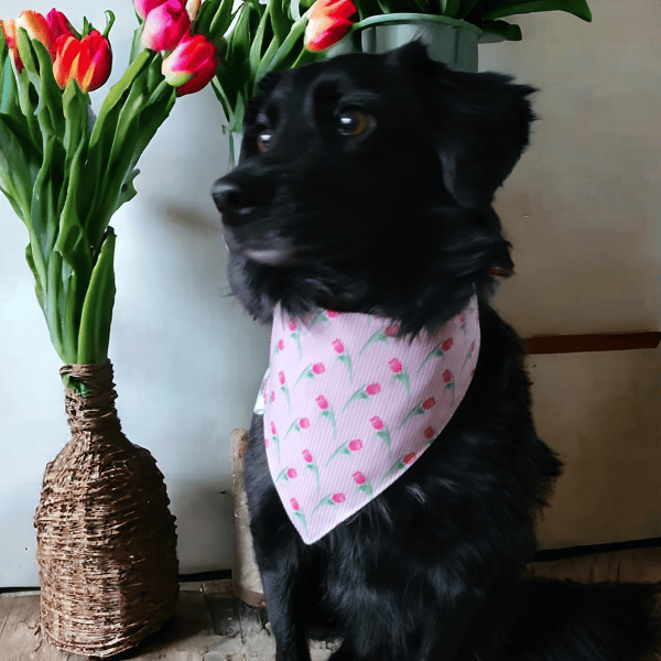 Cotton dog bandana tulip print size M