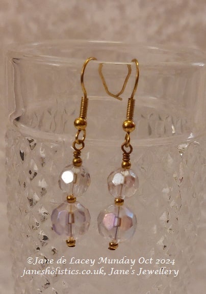 Sparkly Crystal Drop Earrings