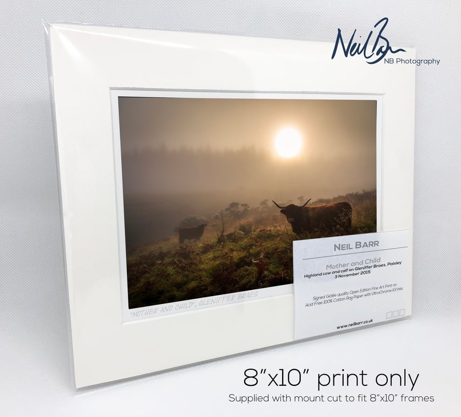 Highland Cow and Calf Scotland - A5 (10"x 8") Unframed Print