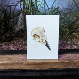 Bird Skull Painting 