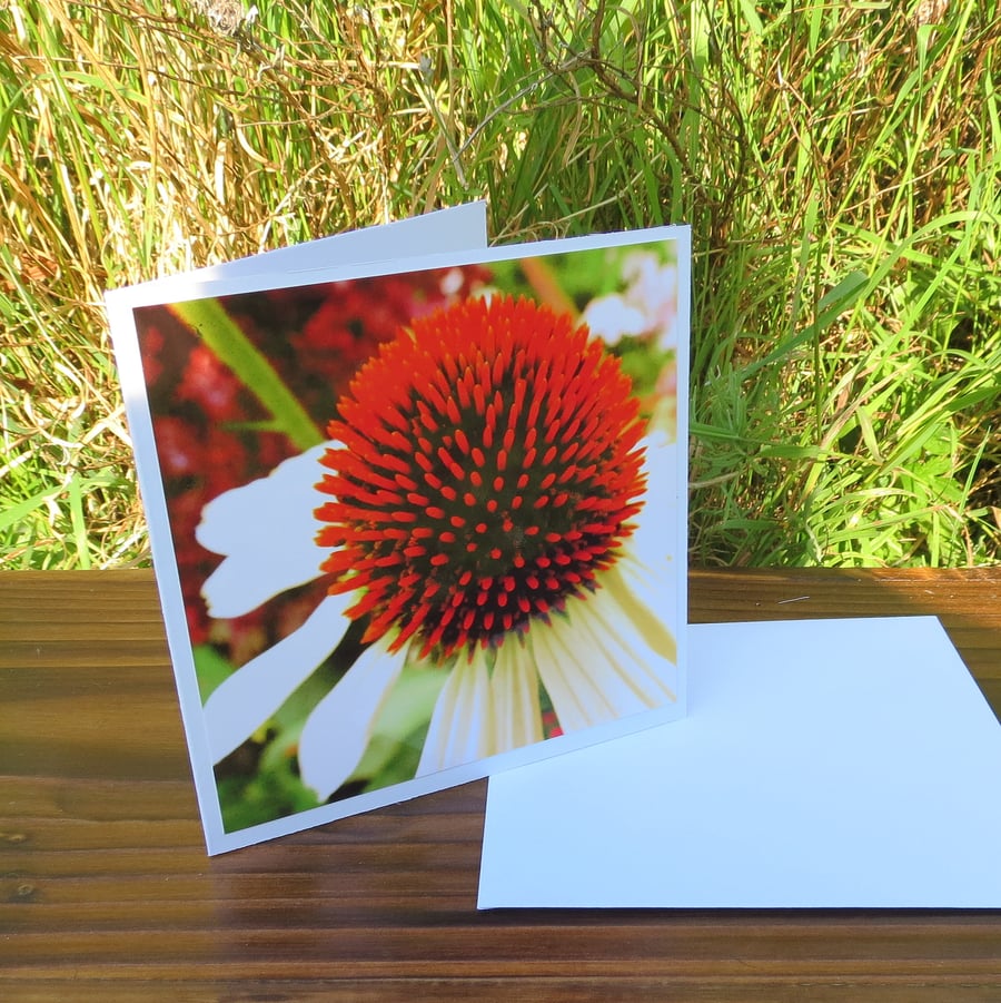 Flowerhead. A card left blank for your own message.