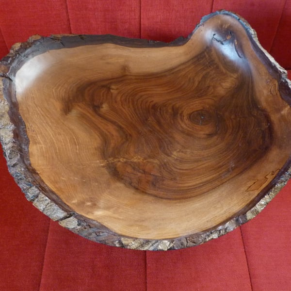 Very large walnut bowl , with the bark of the tree intact.