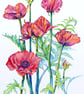 Red Poppy Original Flower Watercolour Painting Contemporary Botanical Art - Image 4