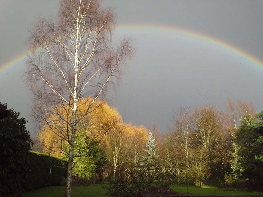 Special order for Natalie