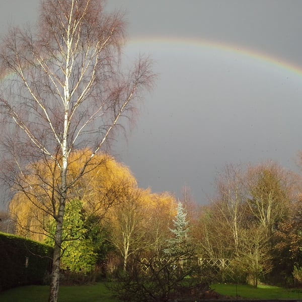 Special order for Natalie