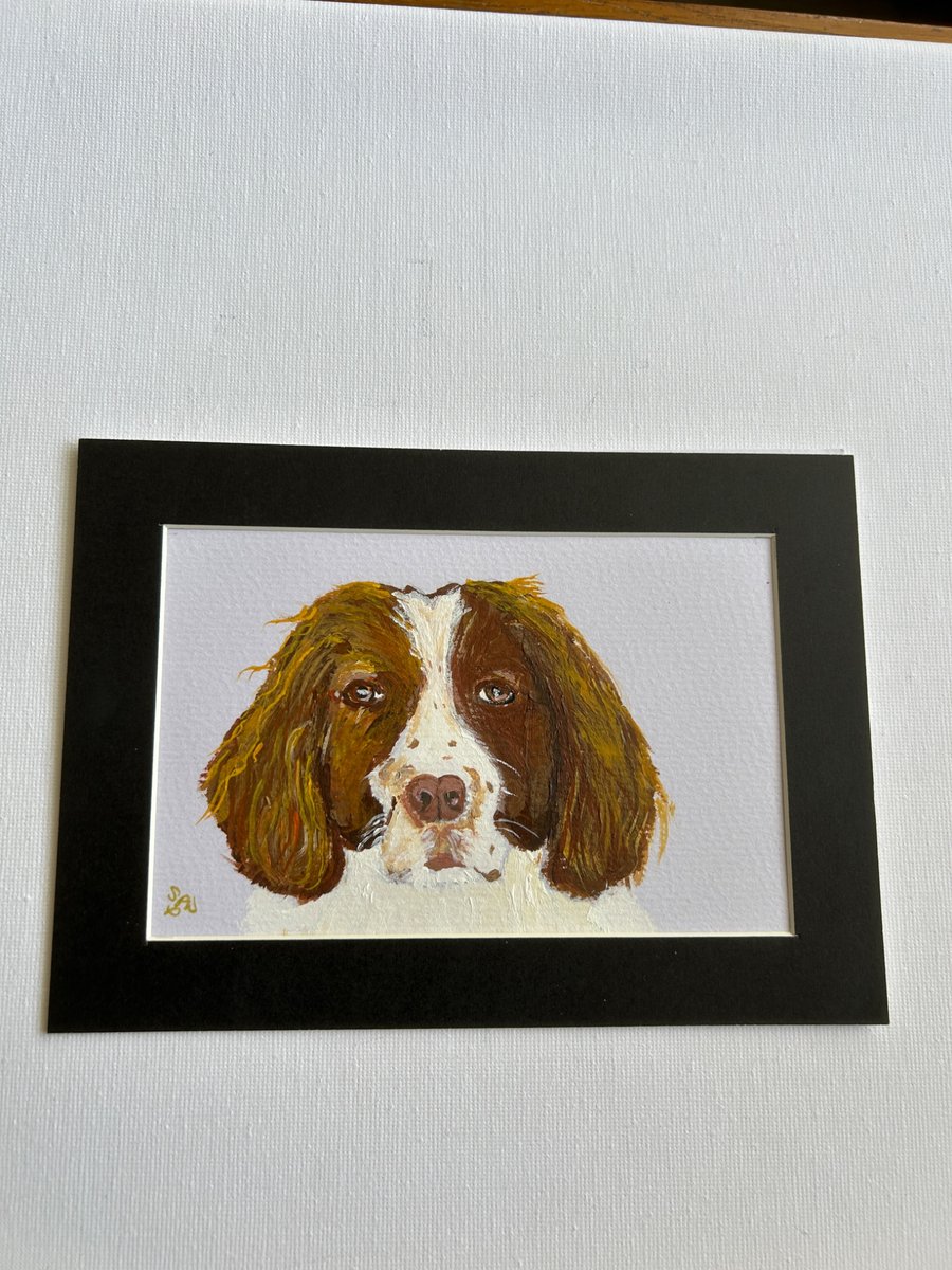 Original painting of a spaniel 5x7" 