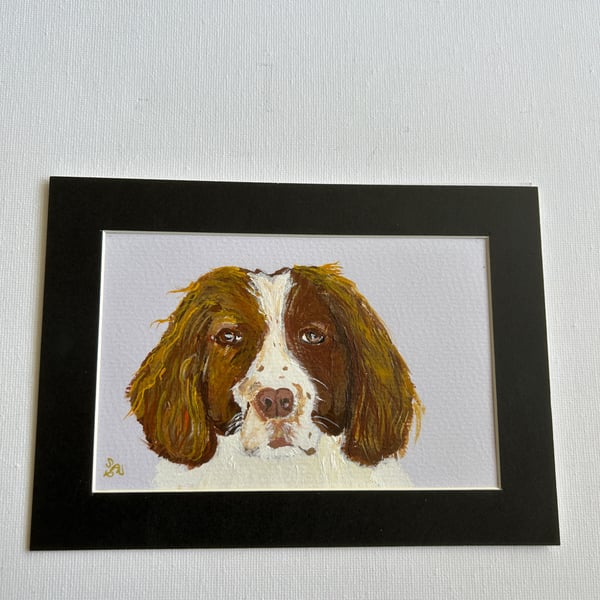 Original painting of a spaniel 5x7" 