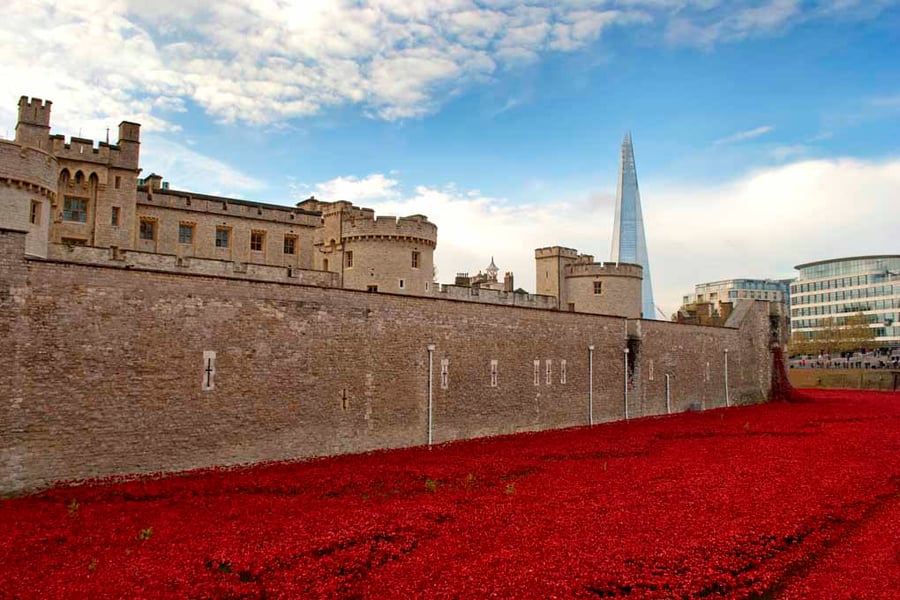 Tower of London Red Poppies England UK Photograph Print