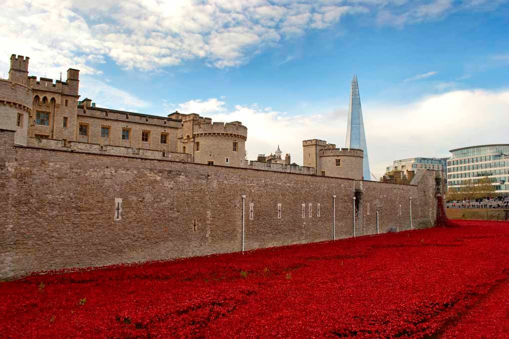 Tower of London Red Poppies England UK Photograph Print