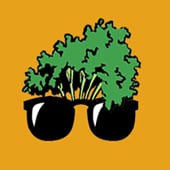 A Slice Of LazyCarrot