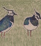 Lapwings - Image 1