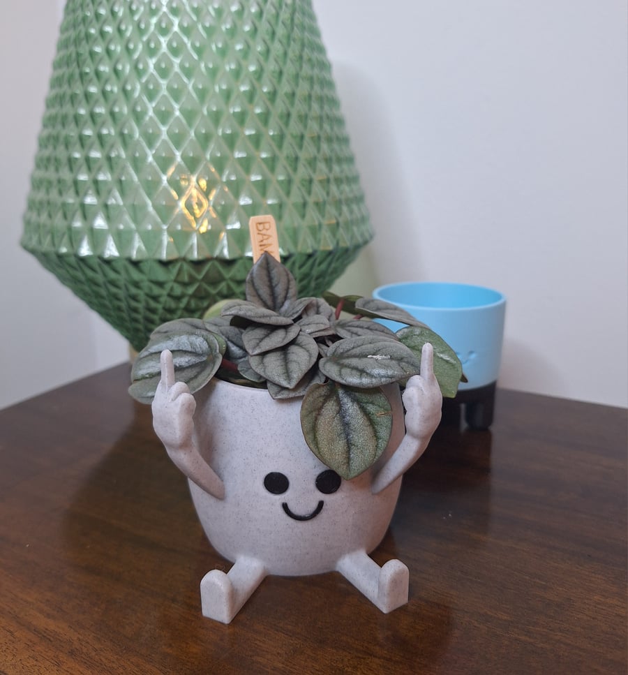 Middle finger happy plant pot, 3d printed plant pot, marble affect plant pot. 