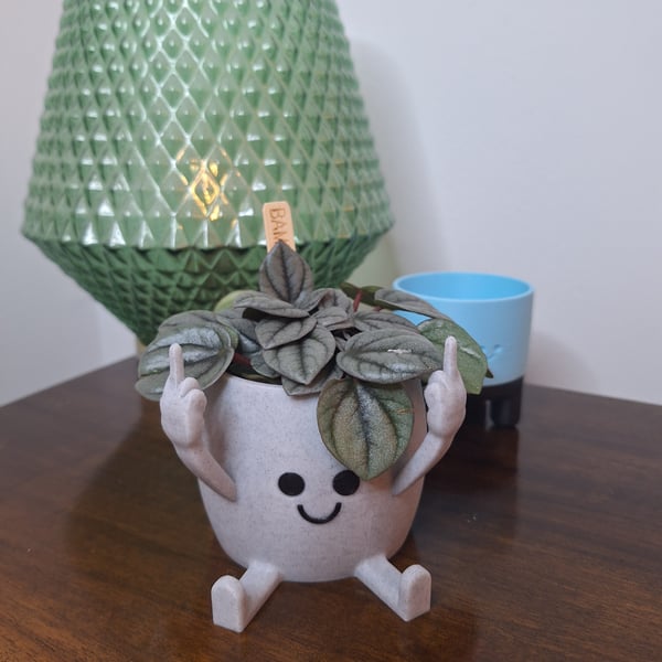 Middle finger happy plant pot, 3d printed plant pot, marble affect plant pot. 