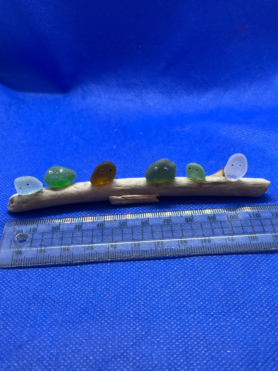 Frosted sea glass 'nuggets' on driftwood