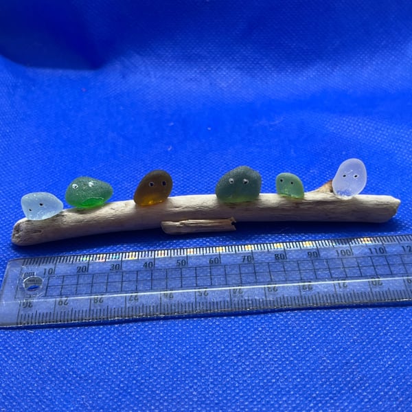Frosted sea glass 'nuggets' on driftwood
