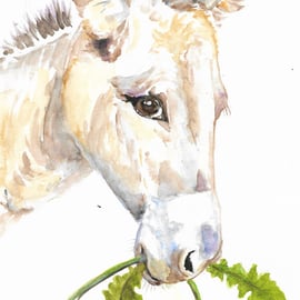 Donkey with dandelion flower, original painting