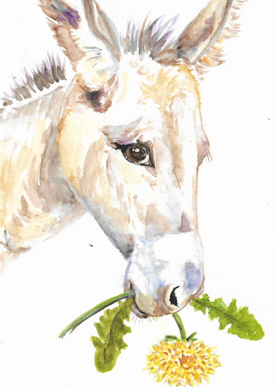 Donkey with dandelion flower, original painting