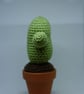 Crochet Cactus desert style, Christmas Cactus with removeable Santa hat.  - Image 4