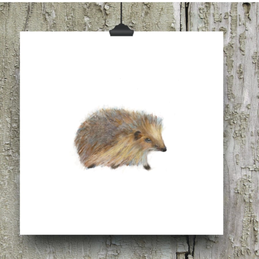 Hedgehog Greeting Card - Art Card - Hedgehog print
