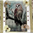 Brown Owl Wildlife Bird - Hand Crafted Decoupage Greeting Card - Blank - 3037