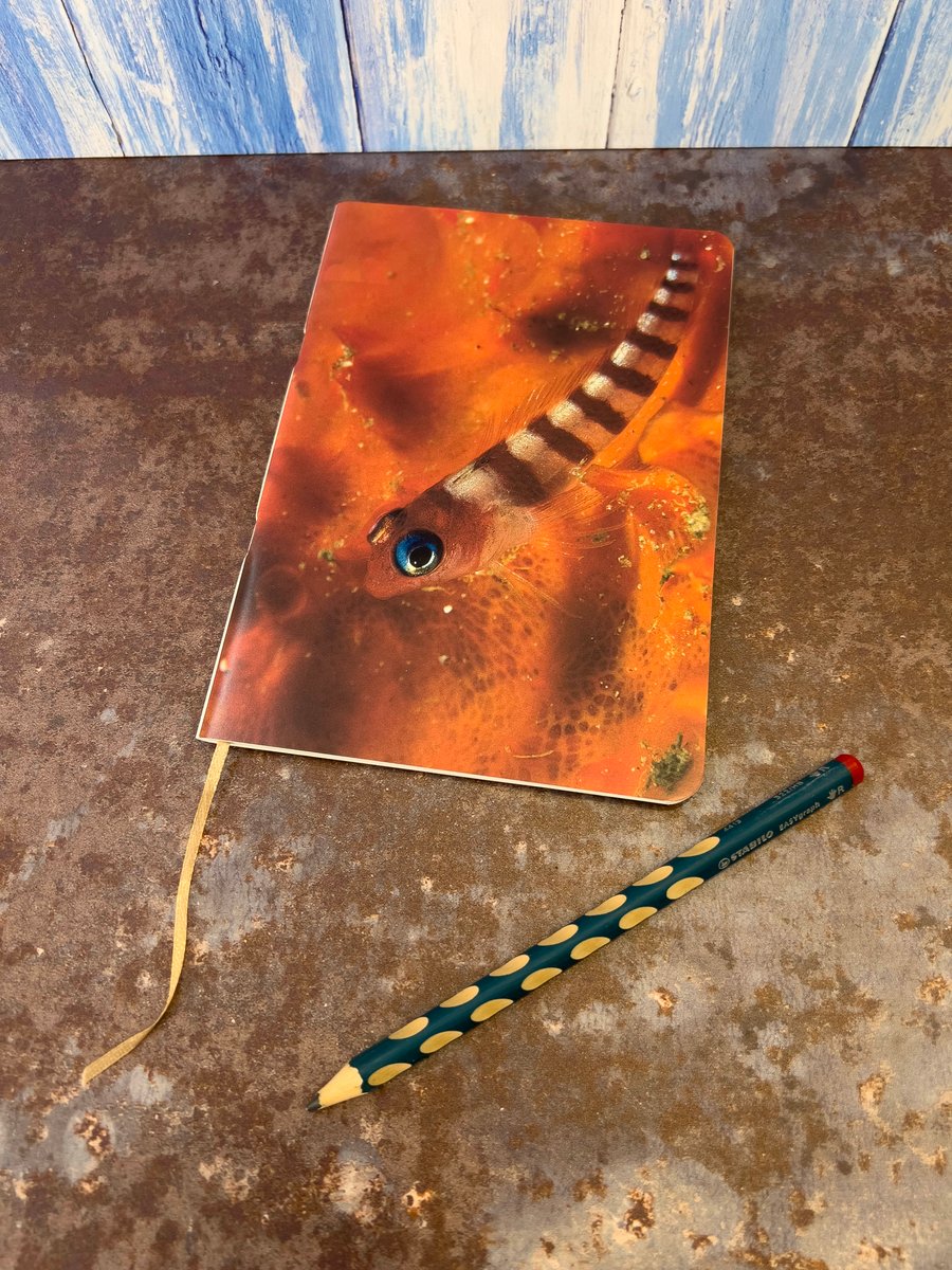 Notebook, Marine themed, A5 (ish), made from up-cycled and recycled materials.