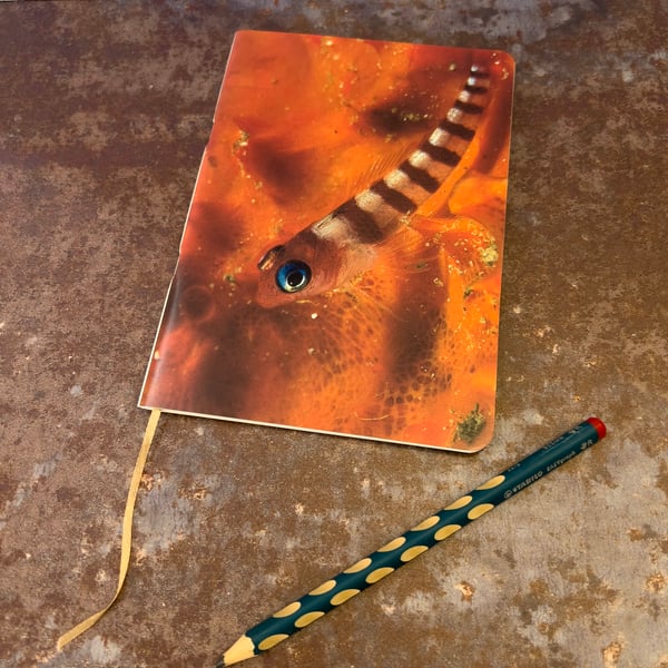 Notebook, Marine themed, A5 (ish), made from up-cycled and recycled materials.