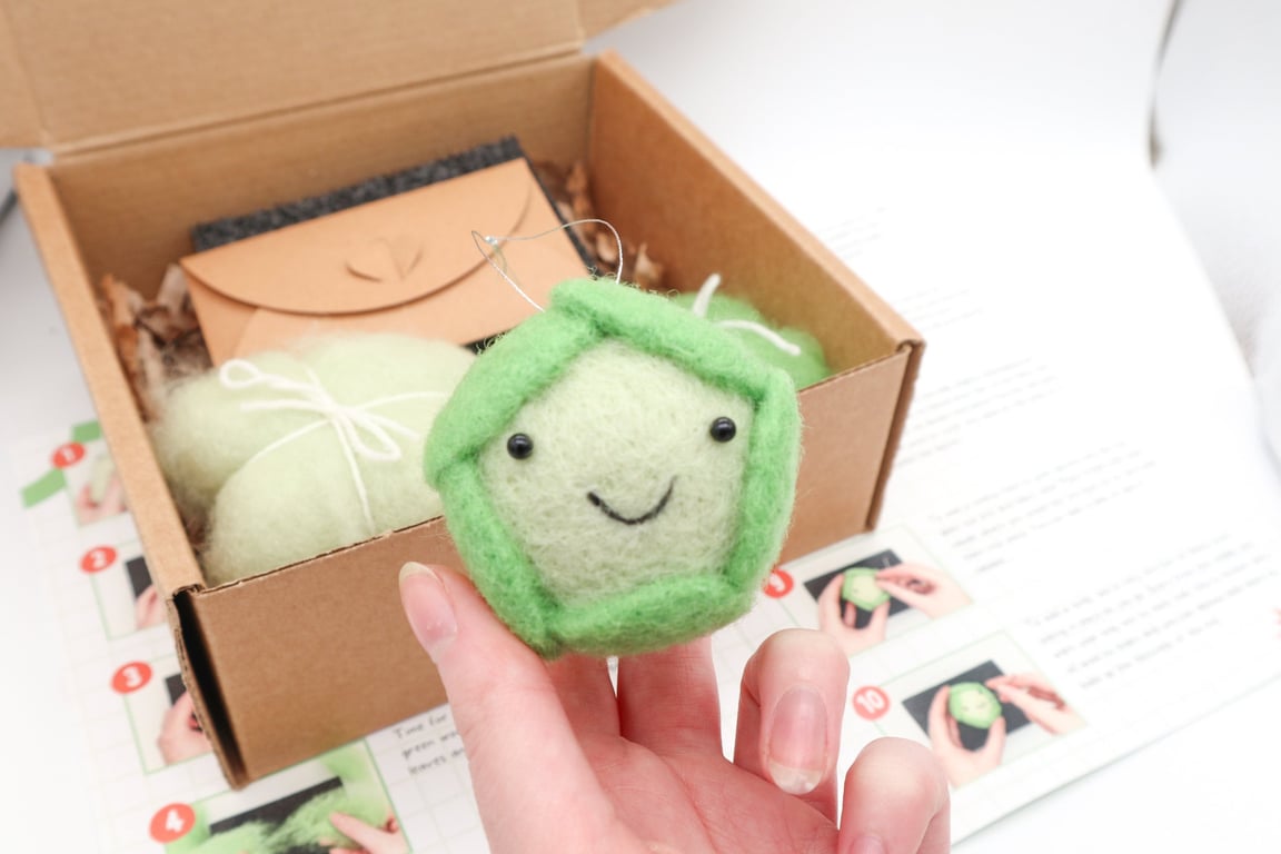 DIY Kit Woolly Sprout - Needle Felting Beginners Craft Kit High Quality