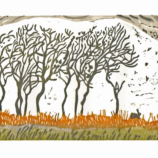 The well-nibbled hawthorns