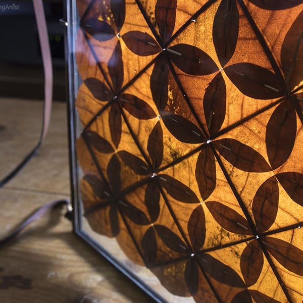 Chestnut Circle Square Kaleidoscopic Leaf Pane