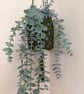 Handmade Crochet Plant Hanger - Rustic Hanging Plant Holder - Boho Home Decor - Image 3