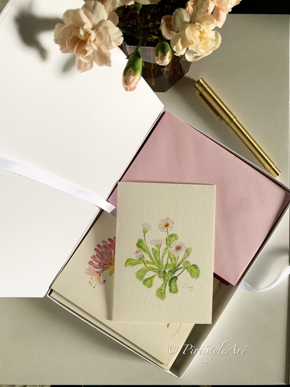 New Beginnings - Box of 10 Cards