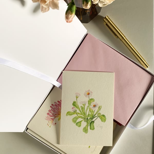 New Beginnings - Box of 10 Cards