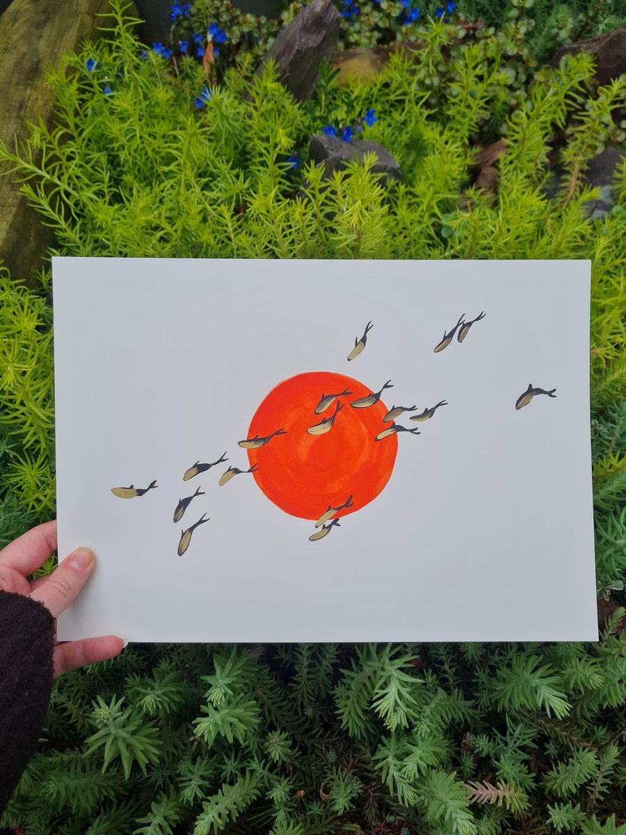 Original abstract fish watercolour painting, minimalistic