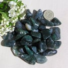 10 Green Moss Agate Crystal Polished Tumblestones, Chakra, Craft, Mosaic, Grid
