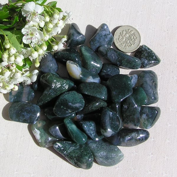 10 Green Moss Agate Crystal Polished Tumblestones, Chakra, Craft, Mosaic, Grid