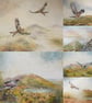 Malvern Sparrowhawk. Framed Original Watercolour by Christopher Hughes  - Image 5