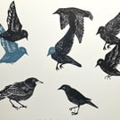 Starling Gang