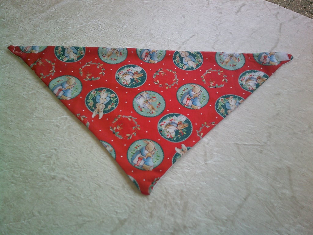 Peter Rabbit at Christmas Dribble Bib