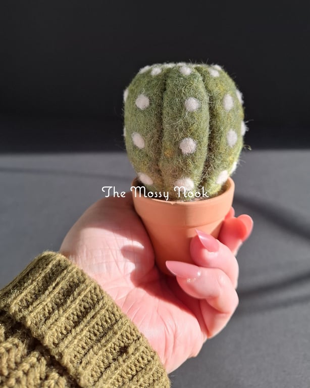 Desert Cactus. Needle Felted with Wool Fibres. Real Terracotta Pot.