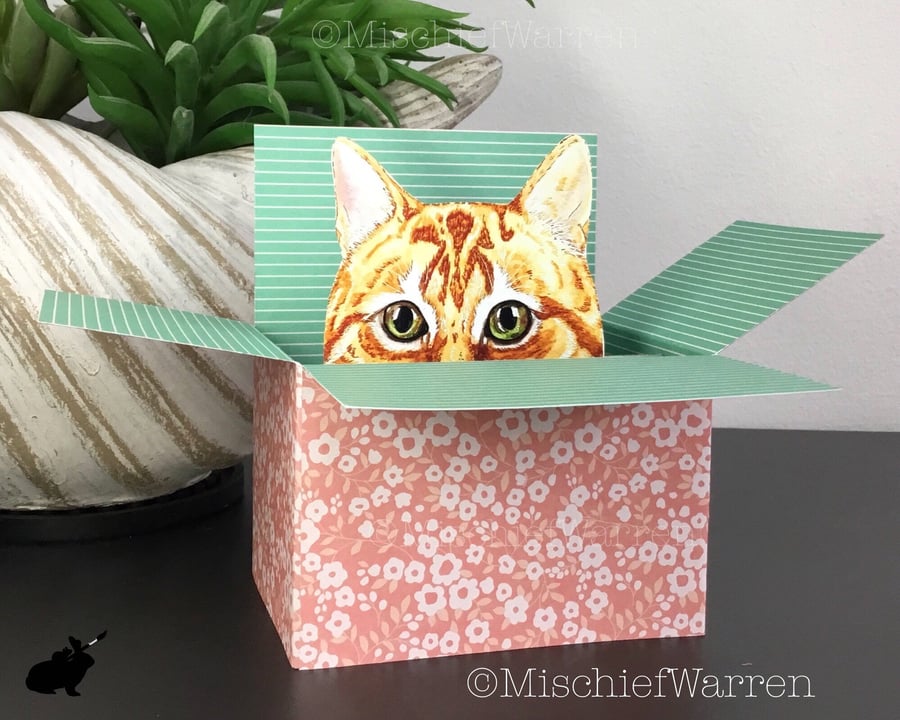 Ginger Cat Box Card. The Original Cat in a Box card. Personalised for birthday, 