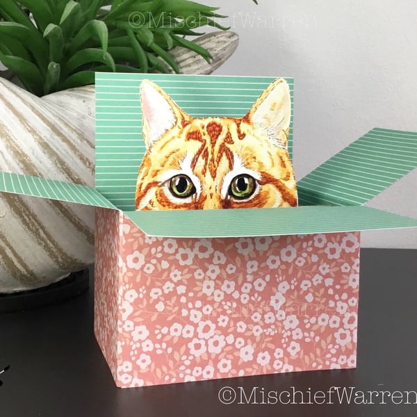 Ginger Cat Box Card. The Original Cat in a Box card. Personalised for birthday, 