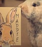Personalised Pet Sign customised rabbits guinea pigs cats dogs sml top holes P - Image 2