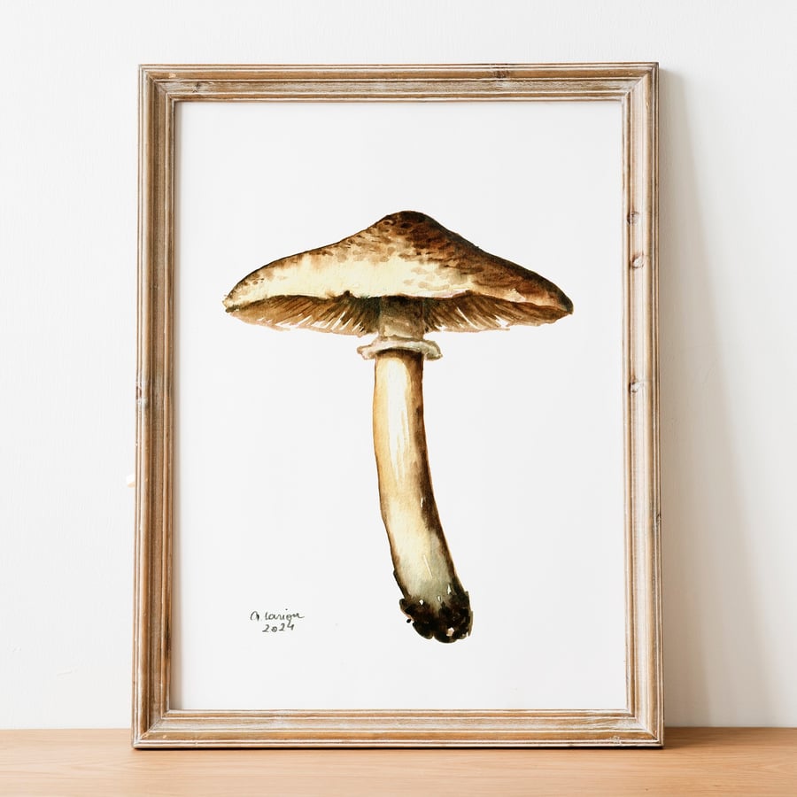 Stinking Dapperling A5 Inkjet Print