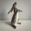 Grey Moon Gazing Hare