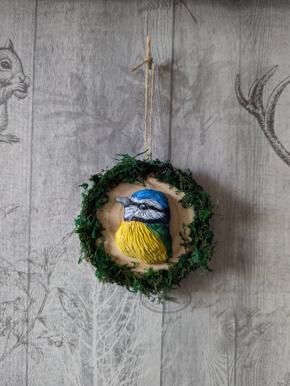 Blue Tit Bird Wall Hanging 