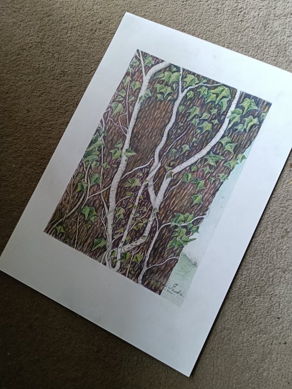 IVY STEMS