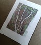 IVY STEMS