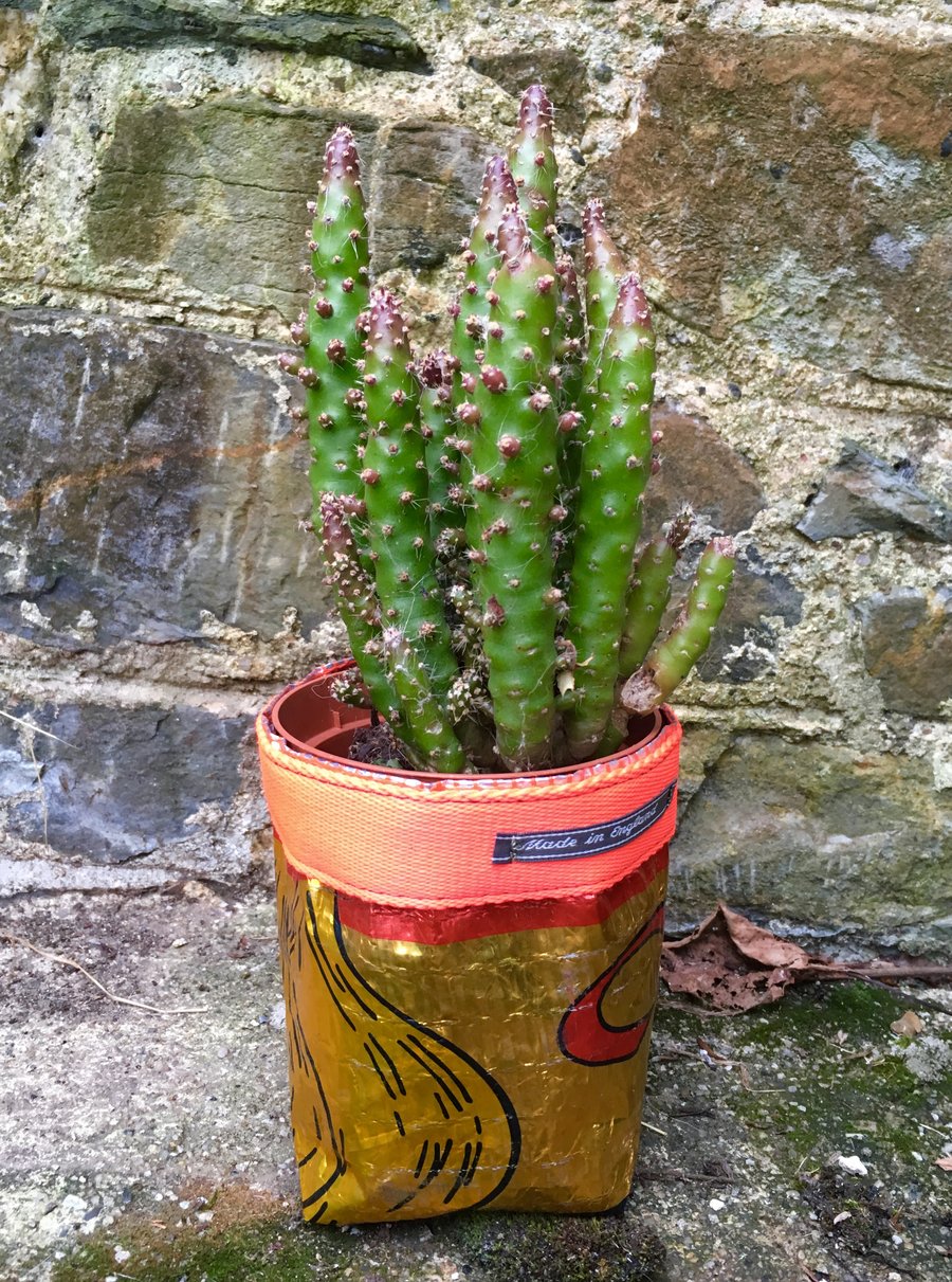 Recycled planter or storage pot